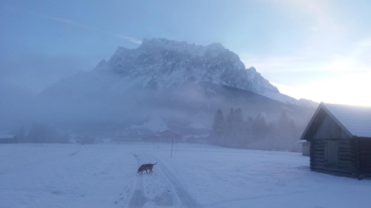 Tyrol Appartements Ehrwald Eksteriør billede