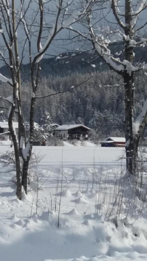 Tyrol Appartements Ehrwald Eksteriør billede